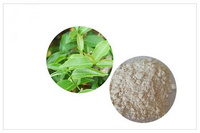 Pueraria Extract Powder  3681-99-0