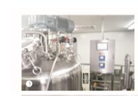 production Type customized bioreactor  system
