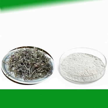 Dihydromyricetin 98% powder 27200-12-0