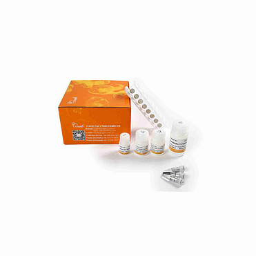 MagicPure® Viral DNA/RNA Kit