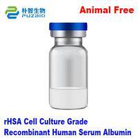 Recombinant Human Serum Albumin rHSA