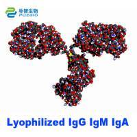 Lyophilized IgG IgM IgA Immunoglobulin G A M