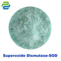 Recombinant Superoxide Dismutase (SOD)