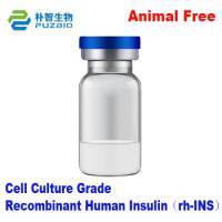 Recombinant Human Insulin（rh-INS）