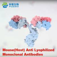 Mouse(Host) Anti Lyophilized Monoclonal Antibodies