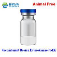 Recombinant Bovine Enterokinase （rb-EK）