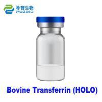 Bovine Transferrin (HOLO)
