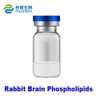 Rabbit Brain Phospholipids RBP