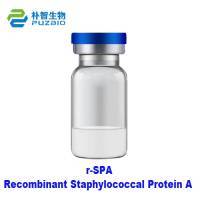 Recombinant Staphylococcal Protein A, r-SPA