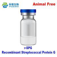 Recombinant Streptococcal Protein G, r-SPG