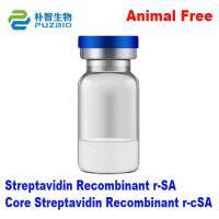 Streptavidin Recombinant r-SA Core Streptavidin Recombinant r-cSA