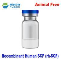 Recombinant Human Stem Cell Factor Recombinant Human SCF (rh-SCF)