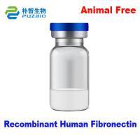 Recombinant Human Fibronectin (rh-FN)