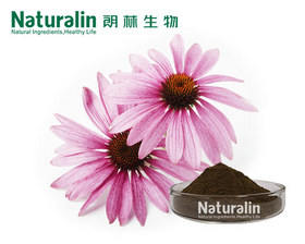 Echinacea Extract