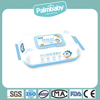 Palmbaby Baby Wipes