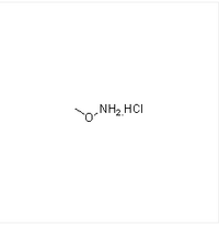 O-Methylhydroxylamine hydrochloride