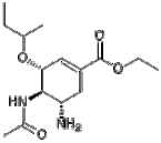 3-Des(1-ethylpropoxy)-3-(1-methylpropoxy) Oseltamivir