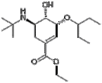 Ethyl (3R,4S,5R)-5-N-(1,1-dimethylethyl)amino-3-(1-ethylpropoxy)-4-hydroxy-1-cyclohexene-1-carboxyla