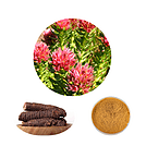 Rhodiola Rosea Extract