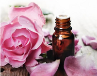 Rose essential oil aromatherapy essential oil massage Essential oil daily chemical raw materials Dam