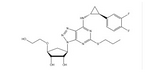 Ticagrelor