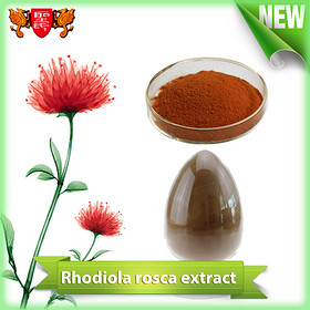 Rhodiola Rosea Extract