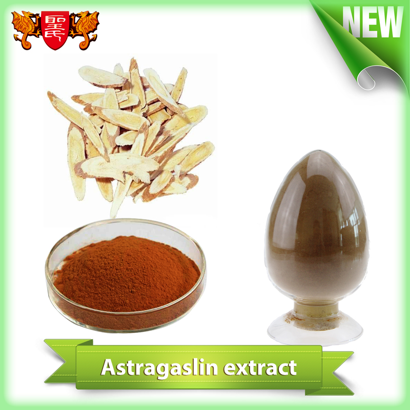 Astragalus extract