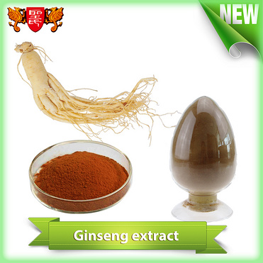 Panax Ginseng Extract