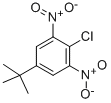 2-Chloro-5-(1,1-dimethylethyl)-1,3-dinitrobenzene