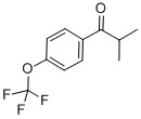 2-Methyl-1[4-(trifluoromethoxy)phenyl] propan-1-one