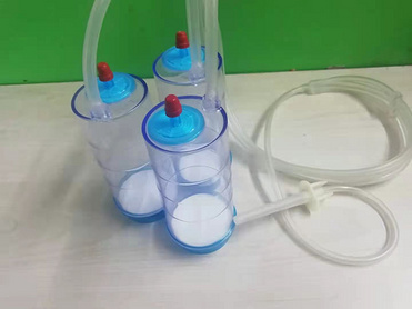 Sterility testing pump disposable kits