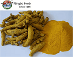 Turmeric Root Extract 95% 98% 2%