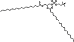 L-ALPHA-PHOSPHATIDYLCHOLINE, DISTEAROYL