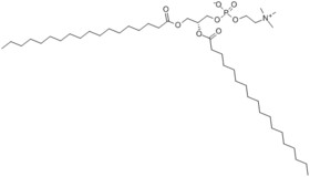L-ALPHA-PHOSPHATIDYLCHOLINE, DISTEAROYL