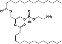 1,2-Dimyristoyl-sn-glycero-3-phosphoethanolamine