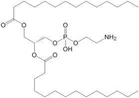 1,2-Dimyristoyl-sn-glycero-3-phosphoethanolamine