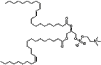 1,2-Dierucoyl-sn-glycero-3-phosphocholine