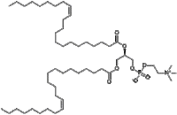 1,2-Dierucoyl-sn-glycero-3-phosphocholine