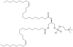 1,2-Dierucoyl-sn-glycero-3-phosphocholine