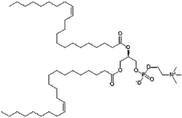 1,2-Dierucoyl-sn-glycero-3-phosphocholine