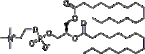 L-a-Dipalmitoyl lecithin