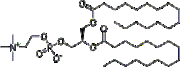 L-a-Dipalmitoyl lecithin