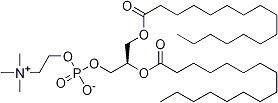 L-a-Dipalmitoyl lecithin