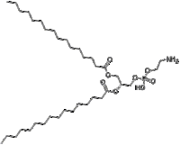 1,2-Dipalmitoyl-sn-glycero-3-phosphoethanolamine