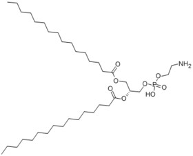 1,2-Dipalmitoyl-sn-glycero-3-phosphoethanolamine