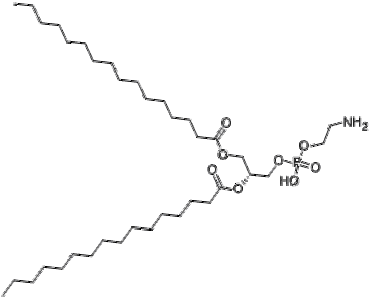 1,2-Dipalmitoyl-sn-glycero-3-phosphoethanolamine