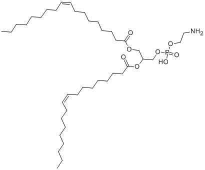 1,2-dioleoyl-sn-glycero-3-phosphatidylethanolamine