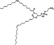 1,2-dioleoyl-sn-glycero-3-phosphatidylethanolamine