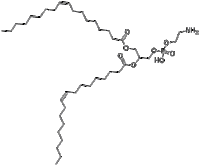 1,2-dioleoyl-sn-glycero-3-phosphatidylethanolamine