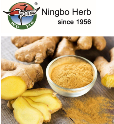 Ginger Root Powder Extract Gingerol 5%-10%